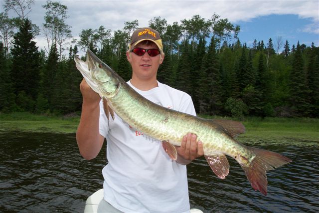 Muskie Fishing At Nestor Falls