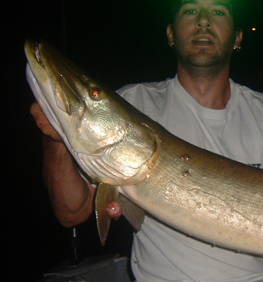 BECOME A BETTER MUSKY ANGLER, STOP DOING THIS!!! Let go of the need to bump  every fish! 