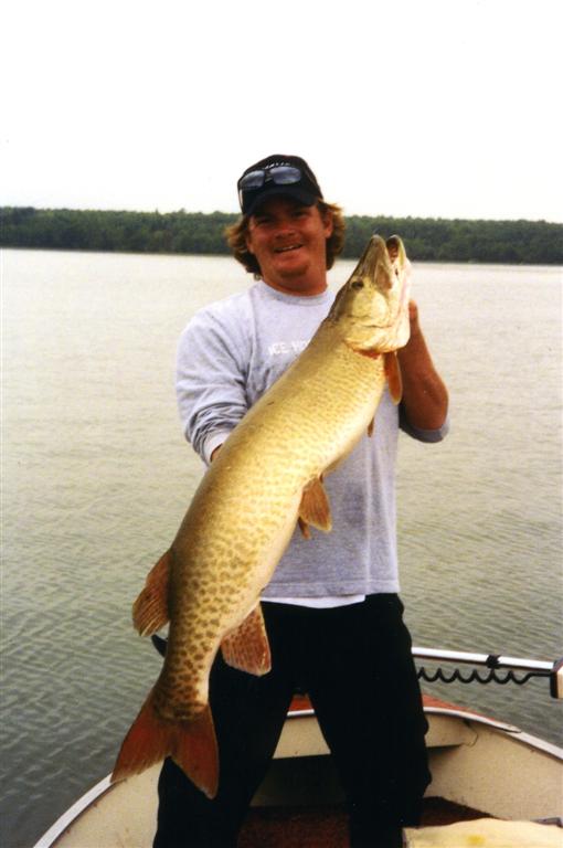 MuskieFIRST  Does size really matter? » General Discussion » Muskie Fishing