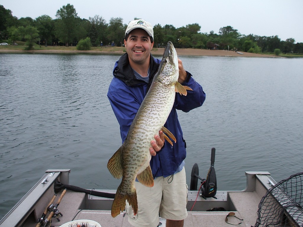 I went out targeting tiger musky for the first time not expecting much, but  it ended up being one of the best trips of the year! Caught two in only  three hours! 