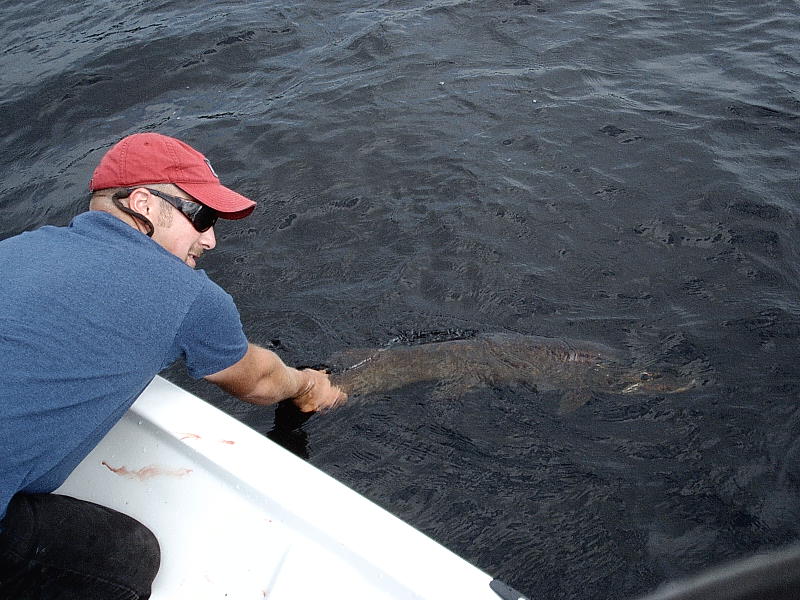 Cochran: “Muskie madness” describes the fish and fisherman