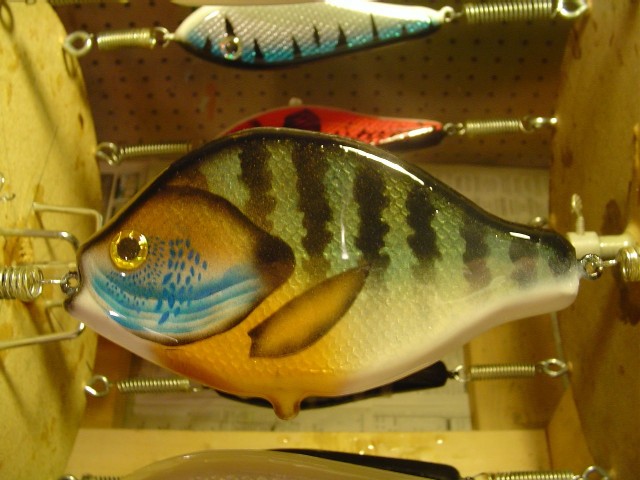 MuskieFIRST  New Bluegill » Basement Baits and Custom Lure Painting » More  Muskie Fishing