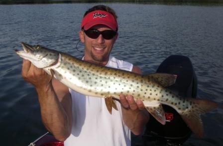 Minnesota Fall Musky Fishing!! - Leech Lake 