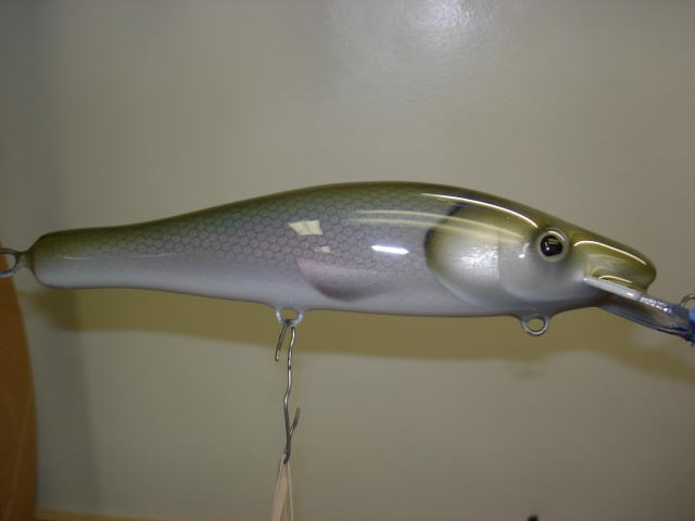 MuskieFIRST  Looking for painter that did walleye pattern