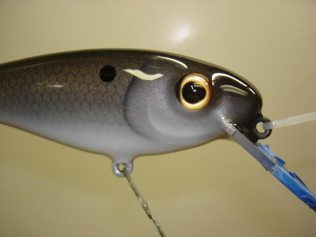 MuskieFIRST  Looking for painter that did walleye pattern