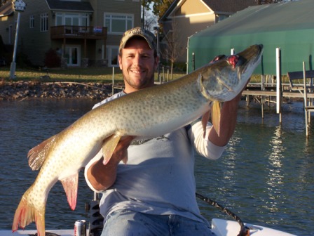 MuskieFIRST  How powerful is the lateral line really? » General Discussion  » Muskie Fishing