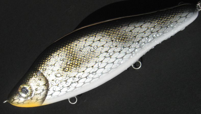 MuskieFIRST  Cisco Pattern » Basement Baits and Custom Lure