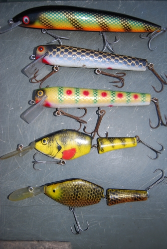 MuskieFIRST  Baits to trademore added » Buy , Sell, and Trade
