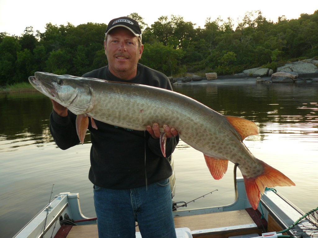 MuskieFIRST  Lampreys on Muskies? » General Discussion » Muskie Fishing