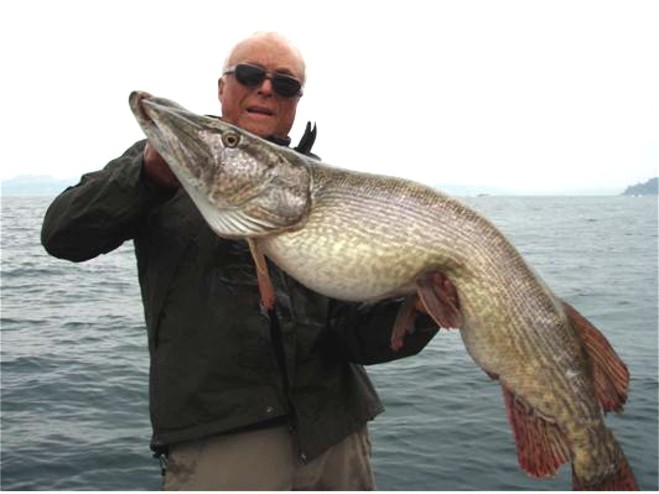 World Record Pike Caught in Italy - Flylords Mag