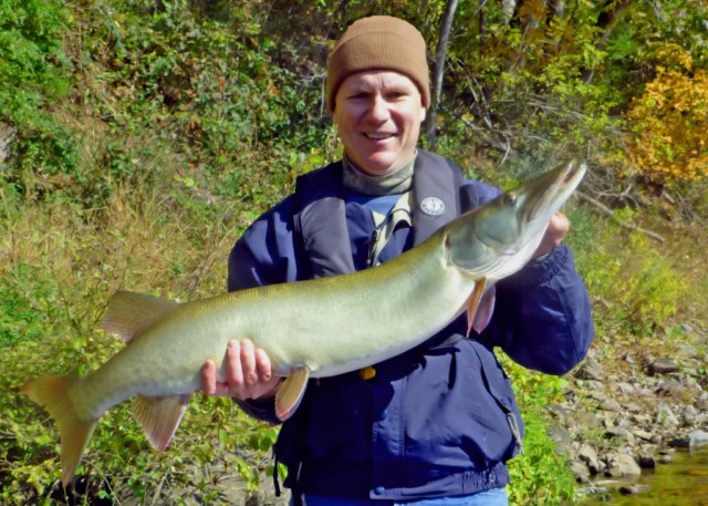 New Md. Muskie Fishing Record Set in Potomac River