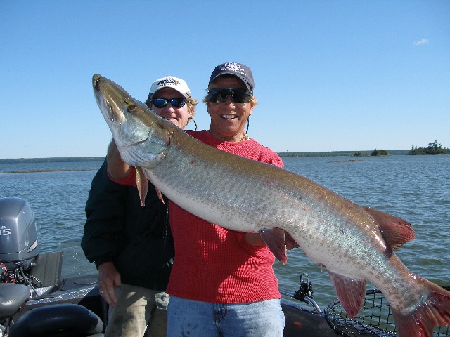 Indiana DNR Tracks Muskie Guide Business, Fishing Reports and Forum