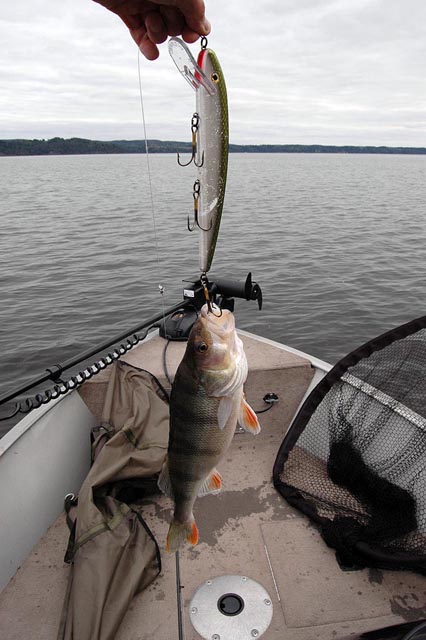 Musky Pike Walleye Lures Lot of 4 Never in Water