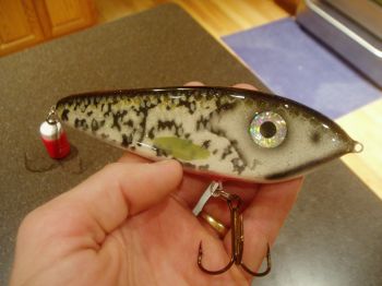 Mylar In Swimbaits - Soft Plastics -  - Tackle  Building Forums