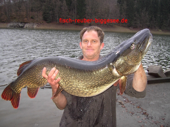 Derek catches unofficial state record Tiger Musky (52 inches) and lands  front page of Livingston Sports Section, August 2011