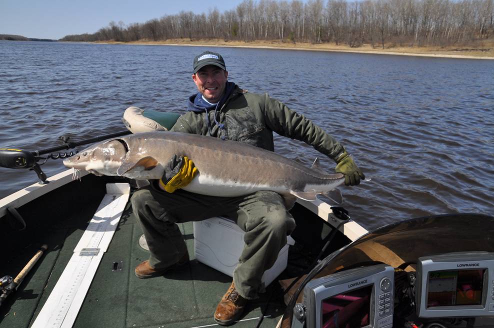MuskieFIRST  100lb Sturgeon on the new TI rod » Lures,Tackle, and  Equipment » Muskie Fishing
