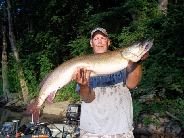 MuskieFIRST  Thanks to Brian Gilmore Youghiogheny Guide Service » Fishing  Reports and Destinations » Muskie Fishing