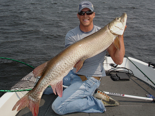 200 ALL THINGS MUSKELLUNGE ideas  musky fishing, pike fishing, musky