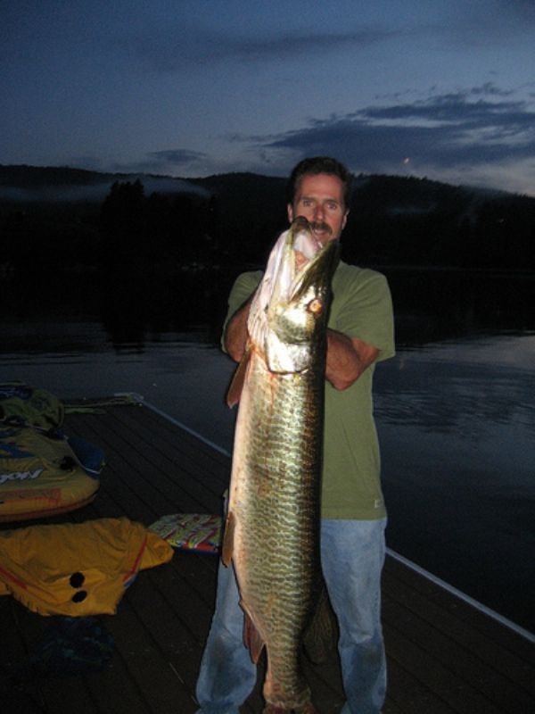 Idaho angler catches tiger muskie after years of fishing