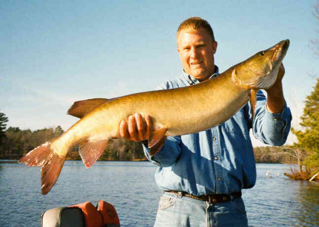 MuskieFIRST  Wisconsin DNR and muskiesa breath of fresh air. » General  Discussion » Muskie Fishing