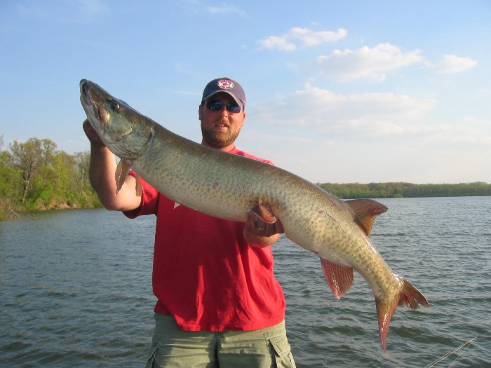 MuskieFIRST  Weekend Reports » General Discussion » Muskie Fishing