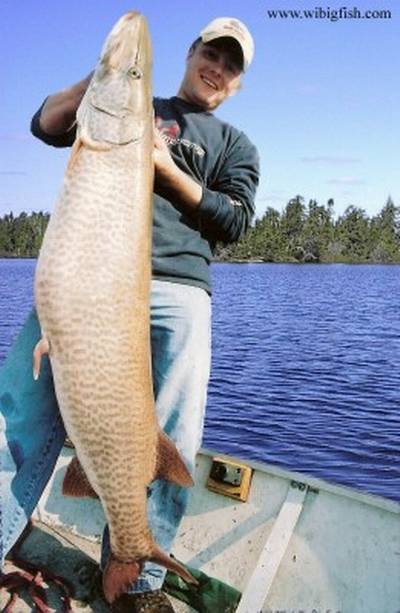 The curiosities of a freak crappie caught in northern Illinois - Chicago  Sun-Times