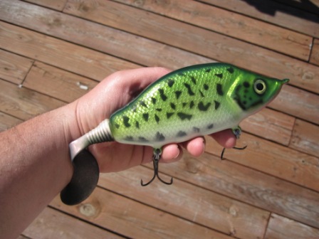 How to Clearcoat A Glidebait