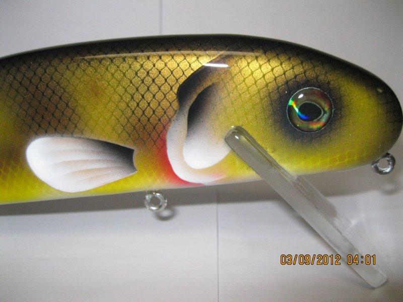 MuskieFIRST  a new snodlo reproduction Flaptail » Basement