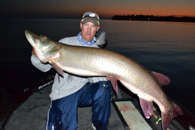 MuskieFIRST  Artist? Who can draw a Musky? » General Discussion » Muskie  Fishing