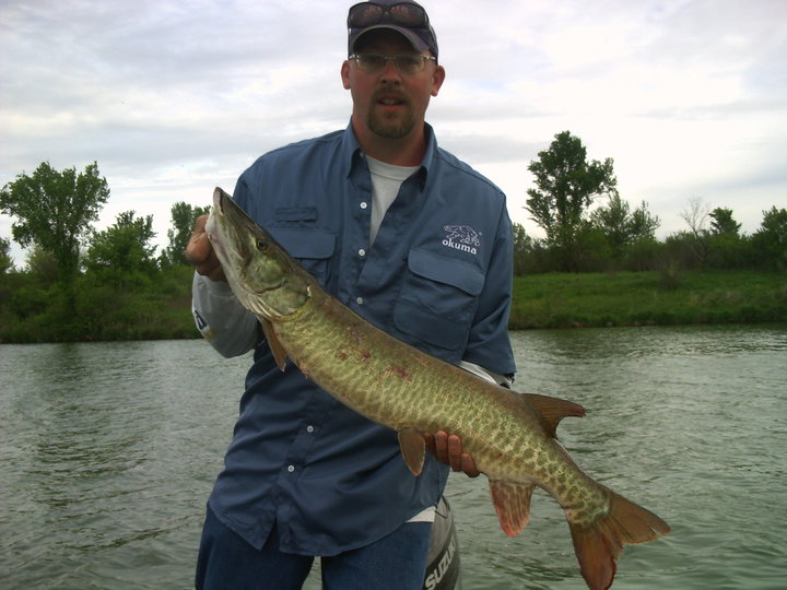 Muskie Bumper 36 Walleye Bump Board-Left