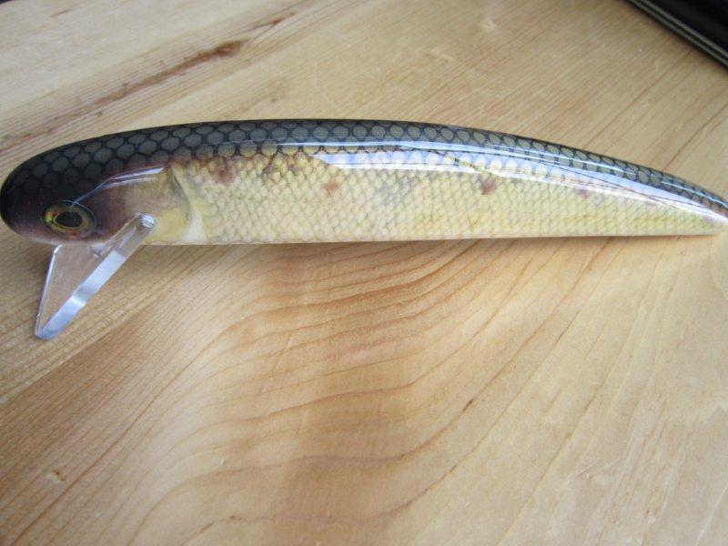 MuskieFIRST  White Sucker » Basement Baits and Custom Lure