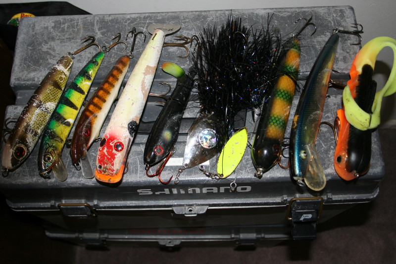 MuskieFIRST  10 Lures - All Year » General Discussion » Muskie Fishing