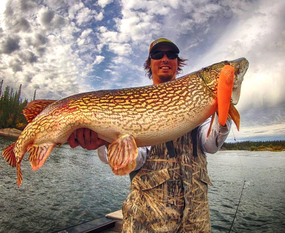 How I caught a 42-inch muskie in northern Maine