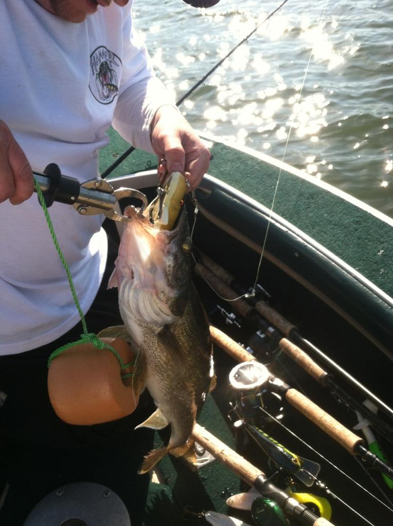 Caught My First Musky - Googan Squad Zinger - Northern Maine : r