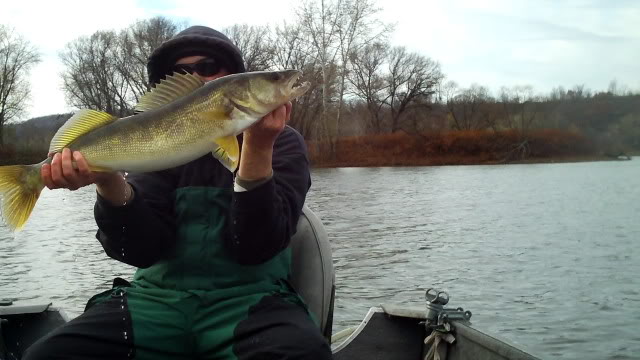 Caught My First Musky - Googan Squad Zinger - Northern Maine : r