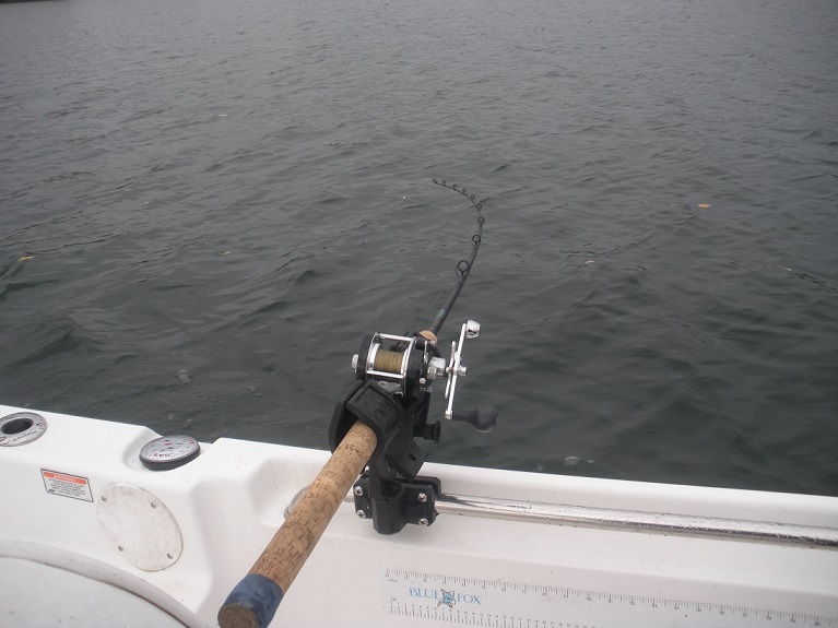 Supernatural Muskies  Folbe Rod Holder 