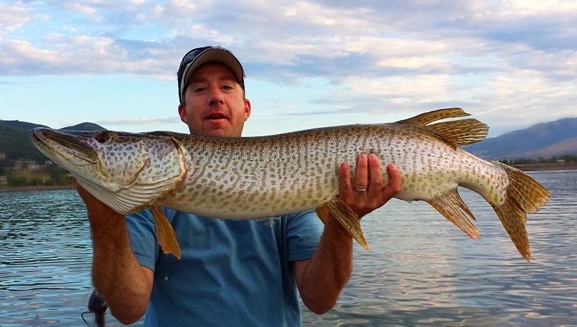 MuskieFIRST  Best Muskie Book » General Discussion » Muskie Fishing