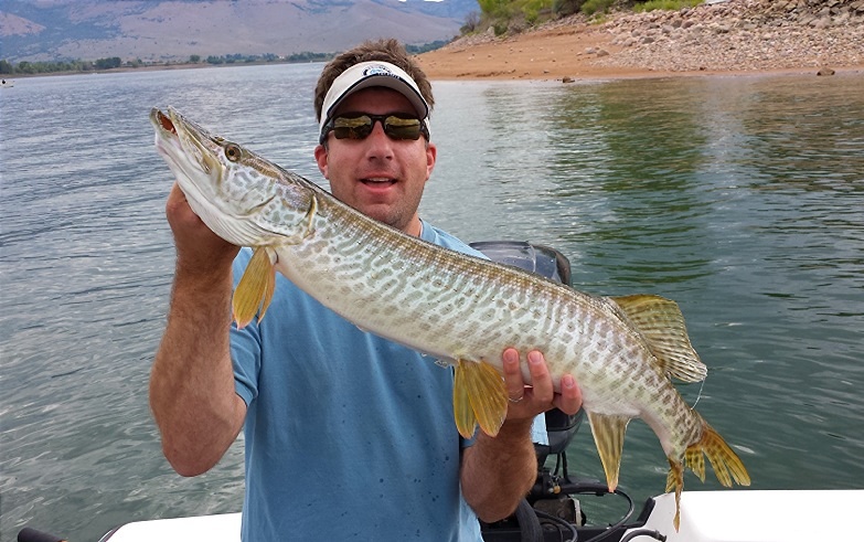 38-inch Tiger Muskie - In-Fisherman