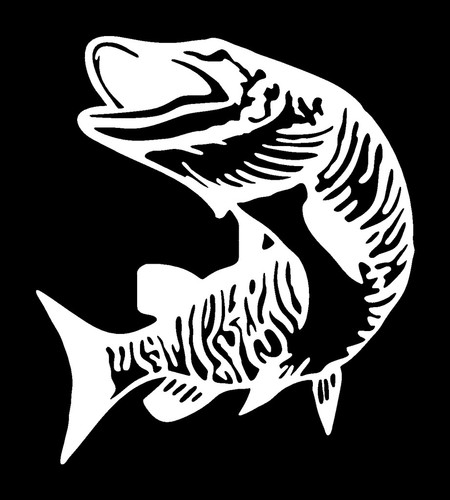 MuskieFIRST  Window Decals » General Discussion » Muskie Fishing