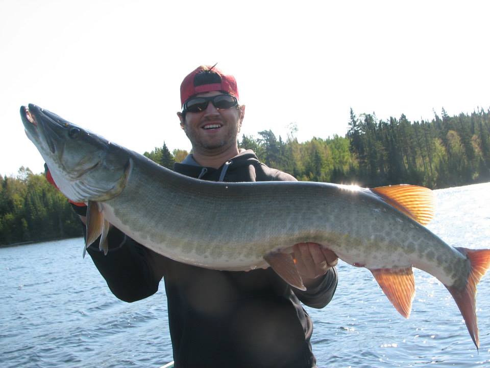 Fall fishing musky tips for Pipestone Lake