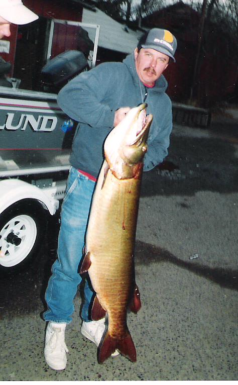 Muskies of tomorrow released in Ohio: NE Ohio fishing report 