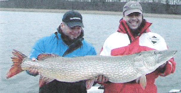 giant pike  Michigan Sportsman Forum