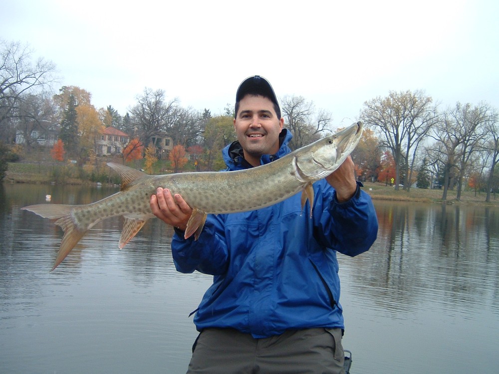 MuskieFIRST  What hit this ski? » General Discussion » Muskie Fishing