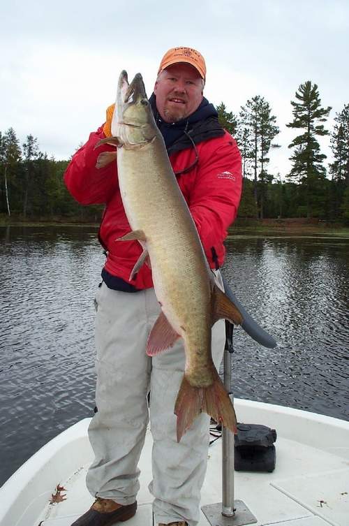 musky safari tackle company