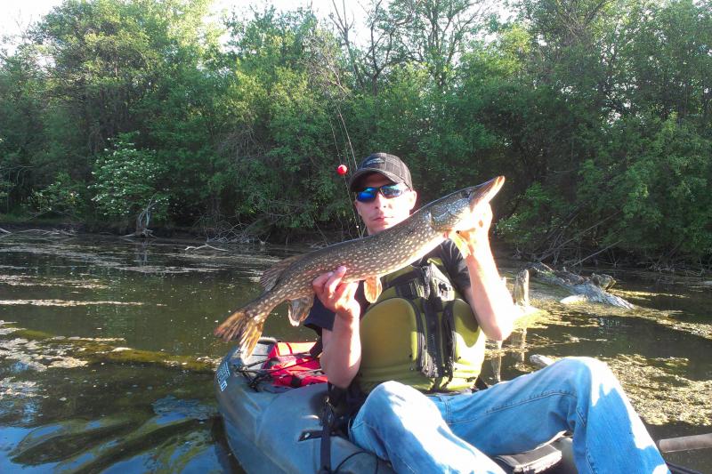 Muskies from a Kayak — River Certified Fishing, Kayak Fishing, And Camping