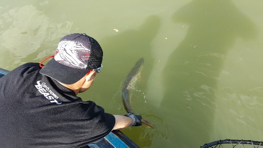 https://muskie.outdoorsfirst.com/board/profile/get-photo.asp?memberid=12621&type=profile&rnd=775