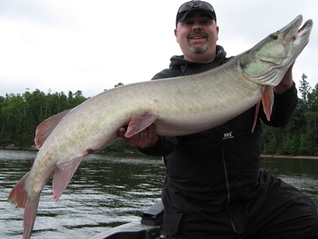 Suick Nite Walker Musky Lure