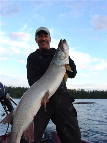 MuskieFIRST  Eagle Lake, Ontario » General Discussion » Muskie