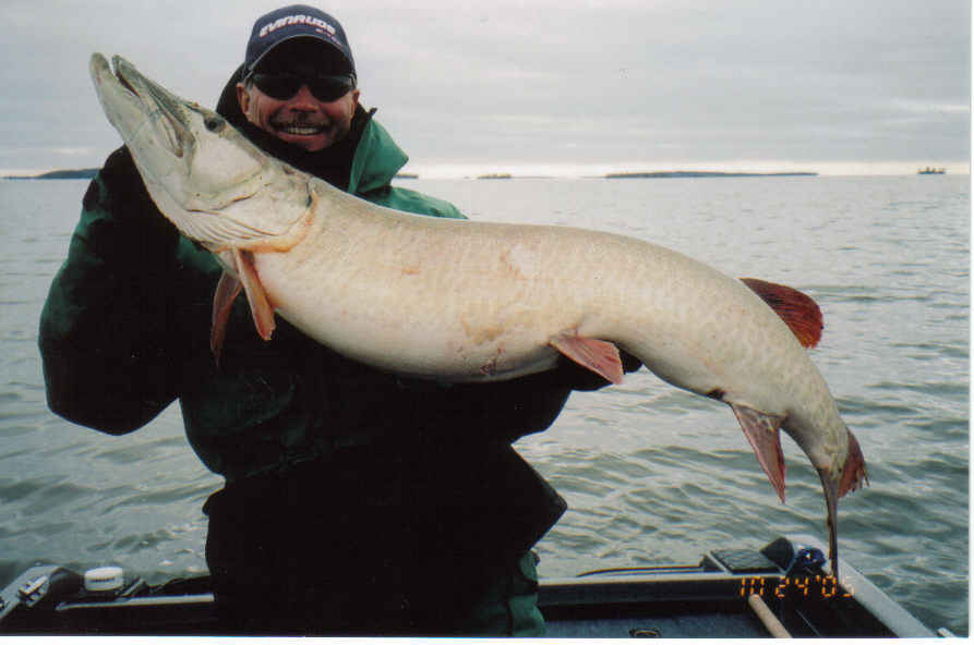 MuskieFIRST  Weight forward bucktails? » Lures,Tackle, and