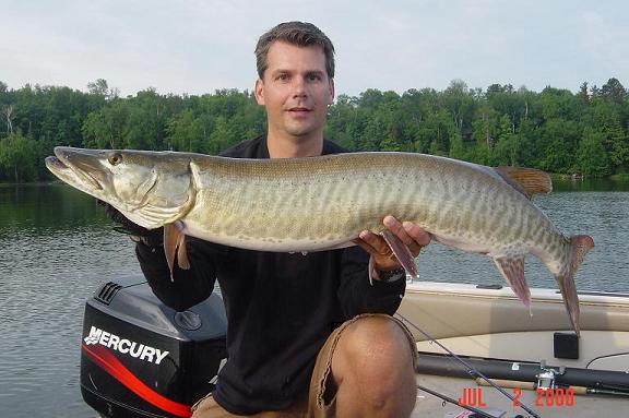 MuskieFIRST  Pounder/big lure storage ideas » Lures,Tackle, and Equipment  » Muskie Fishing